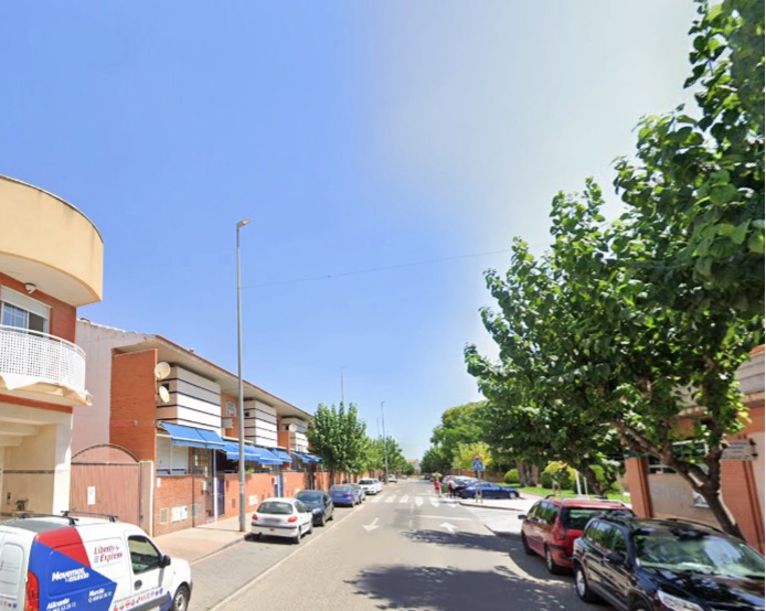 Imagen de El Palmar