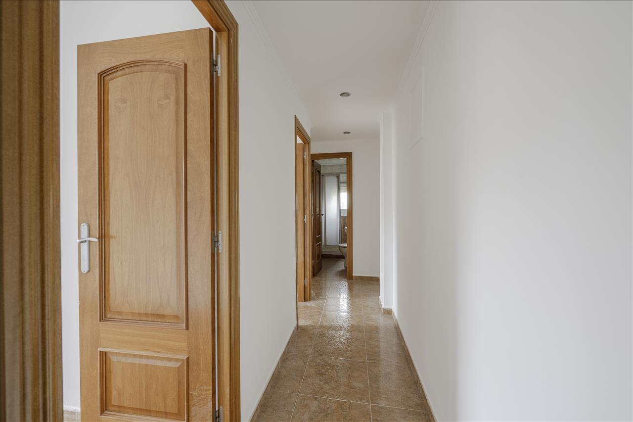 Imagen 15 de Can Sellarès-Zona de l'Estació
