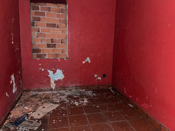 Imagen 2 de Piñeiro