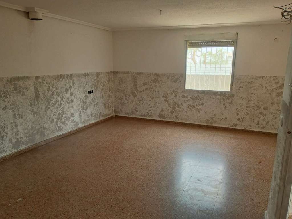 Imagen 2 de Elche (Elx)
