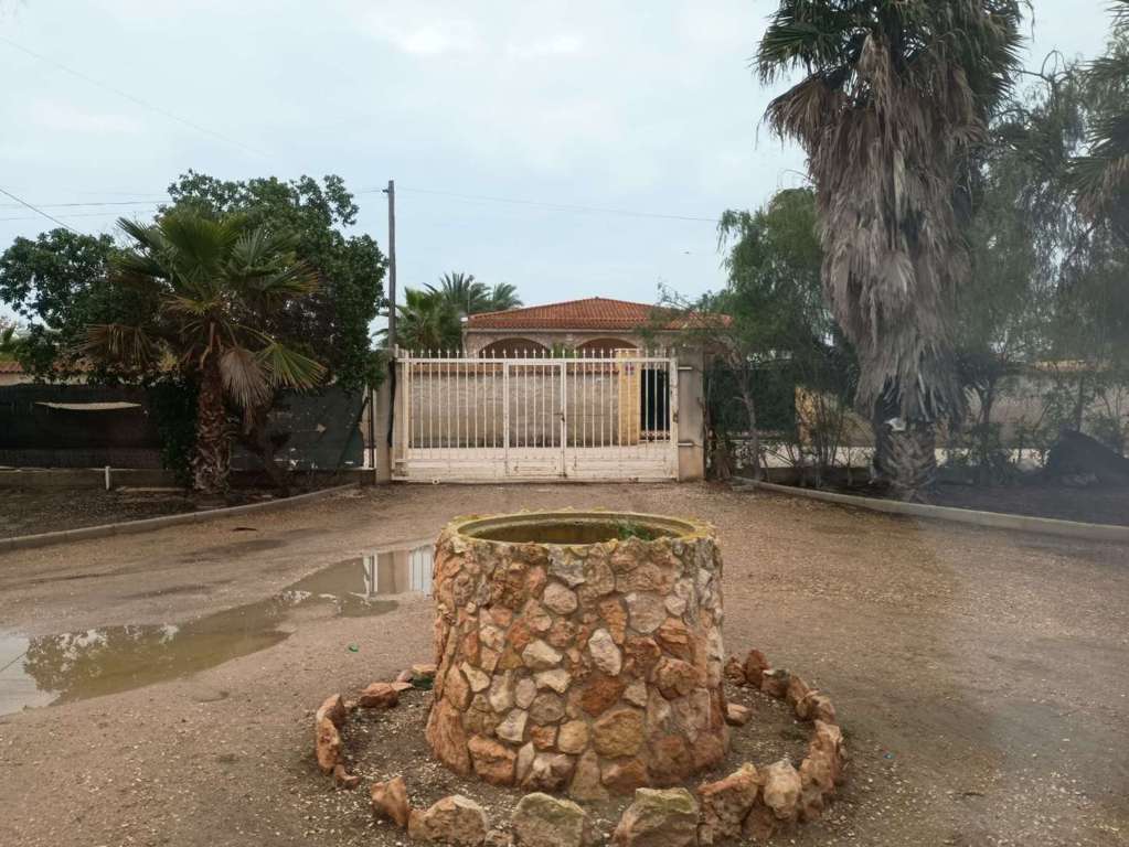 Imagen 11 de Elche (Elx)