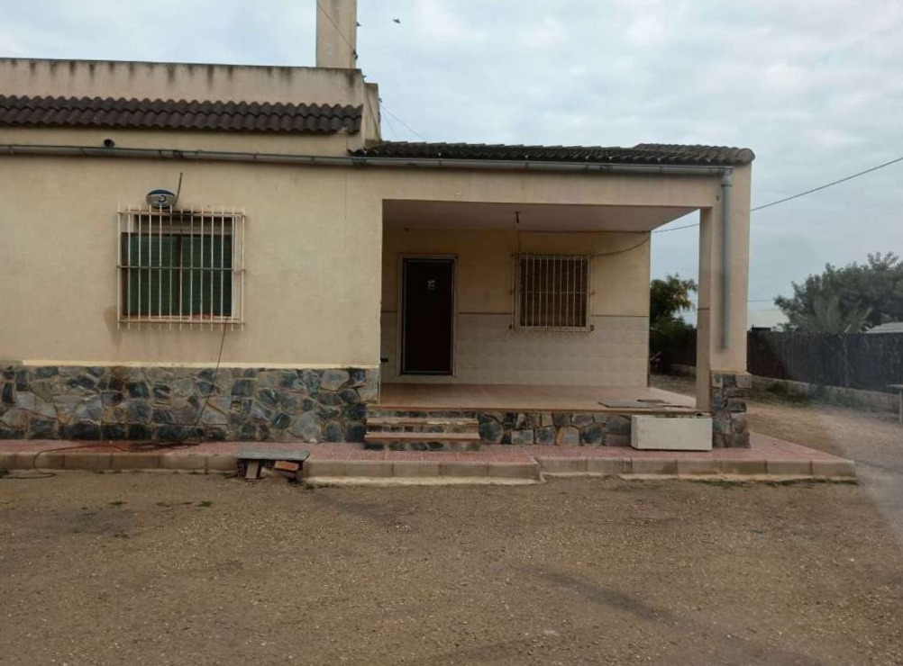 Imagen 1 de Elche (Elx)