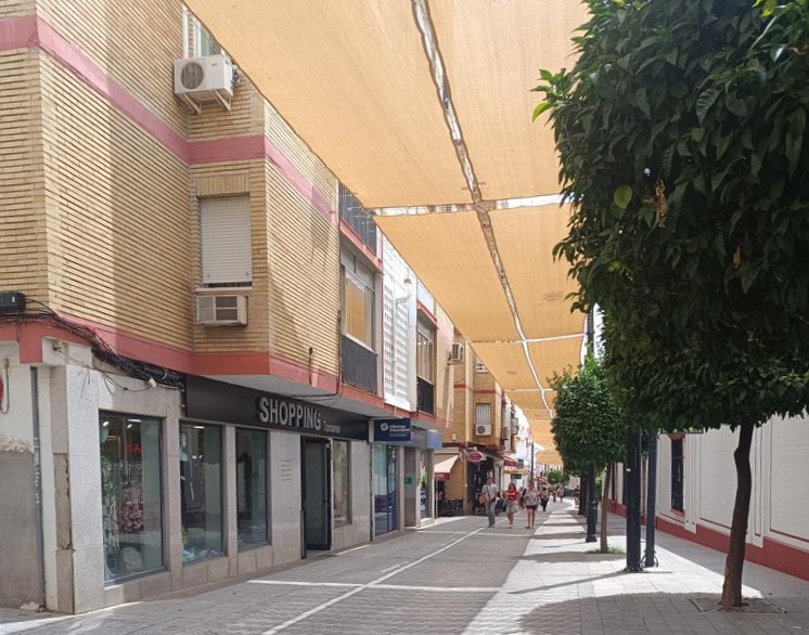 Imagen 7 de Tomares