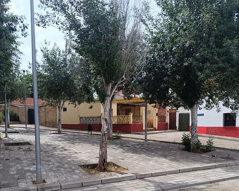 Imagen 8 de Aznalcázar