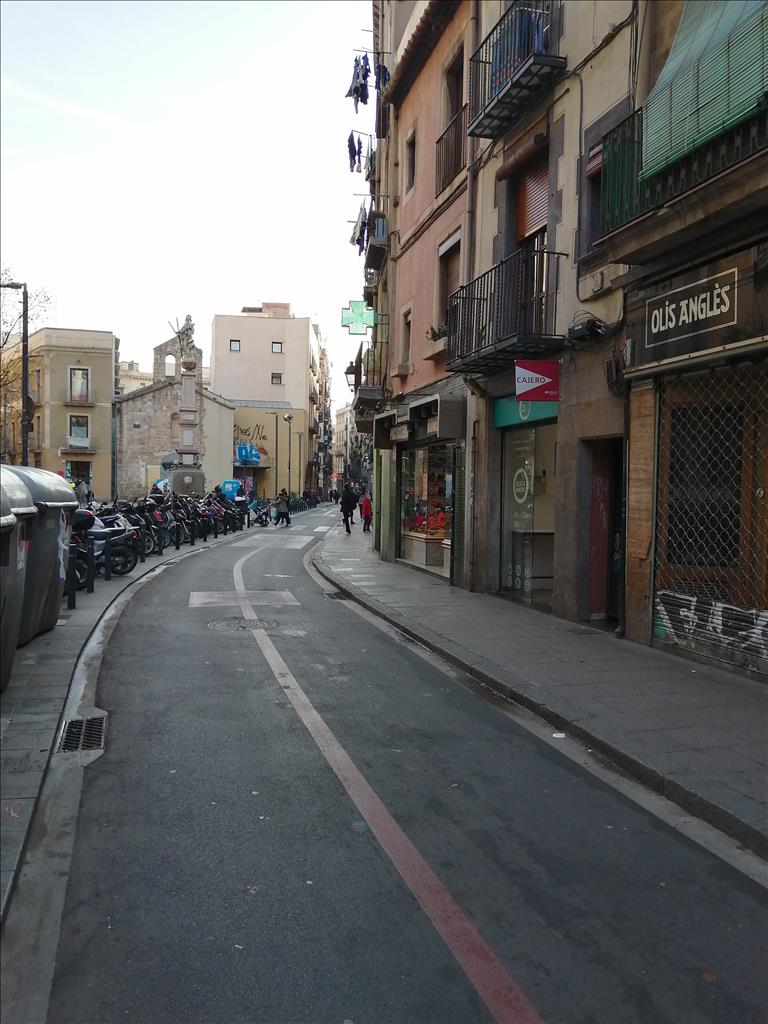 Piso en venta en Distrito de Ciutat Vella Barcelona Barcelona Número 6